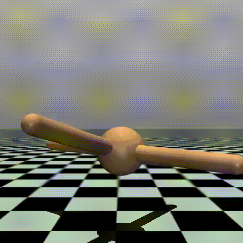 Ant Non-Stationary